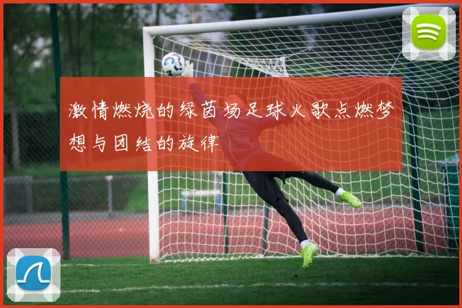 激情燃烧的绿茵场足球火歌点燃梦想与团结的旋律