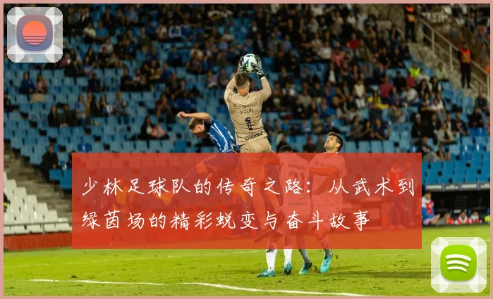 少林足球队的传奇之路：从武术到绿茵场的精彩蜕变与奋斗故事