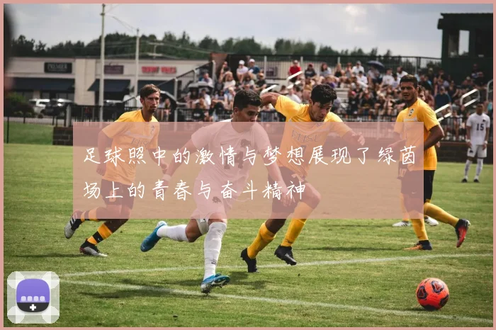足球照中的激情与梦想展现了绿茵场上的青春与奋斗精神