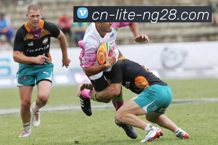 南宫28官网APP 体育赛事宣传图